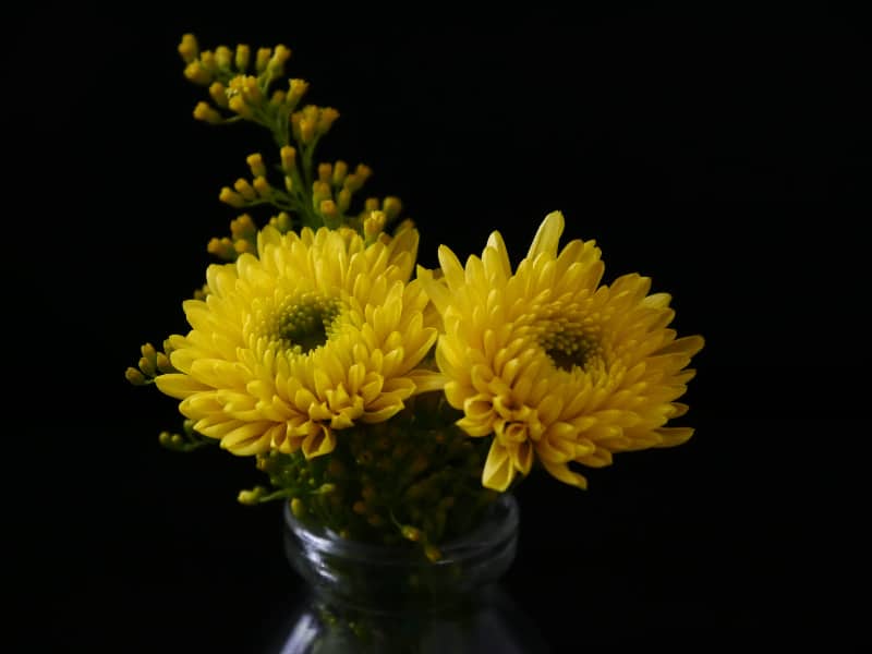 Top 5 Λουλούδια που συμβολίζουν τη θλίψη