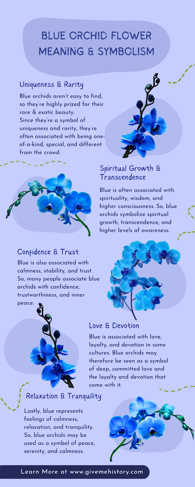 Mavi Orkide Çiçəyi Simvolizmi (Ən Yaxşı 10 Məna)